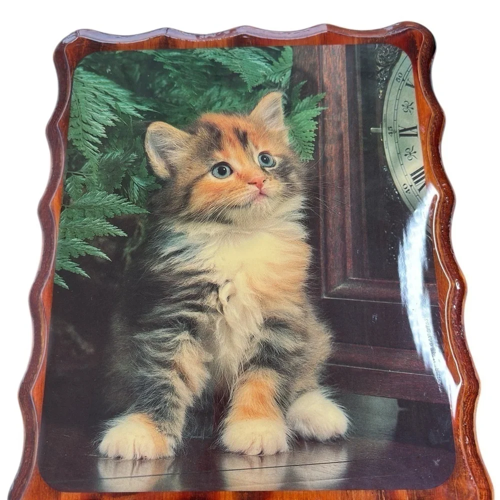 VTG Kitten Picture Lacquered Mounted Decor Calico Cat 9